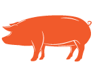 pork